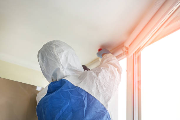 Best Mold Damage Restoration  in Brewster, WA